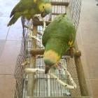 mis lindos hijos